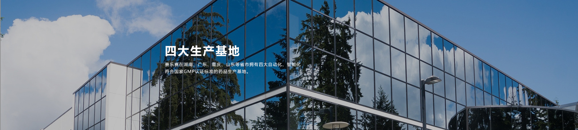 賽樂賽減肥藥
